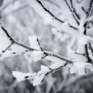 Meet your Posher, Jaynie